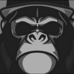 Curso Hacking Ético - Gorilla Hack de Francisco Alonso Caballero
