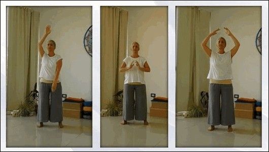 Qigong todos los días: practica y aprende